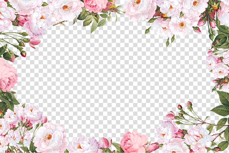 Caractère de script Police de calligraphie sans empattement, bordure de fleurs, illustration de cadre de fleurs pétales blanches png Caractère de script Police de calligraphie sans empattement, bordure de fleurs, illustration de cadre de fleurs pétales blanches png