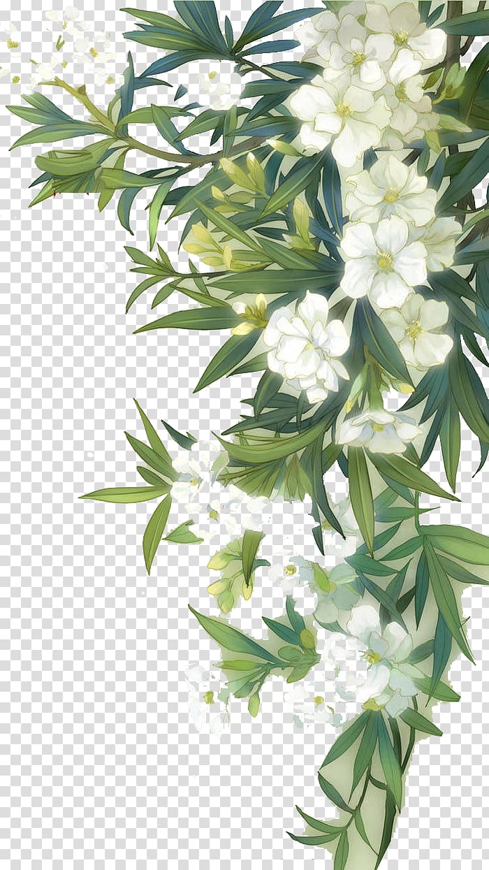 Fleurs sauvages aquarelles familières, fleurs épanouies blanches et feuilles vertes, illustration d'une plante verte à fleurs blanches png Fleurs sauvages aquarelles familières, fleurs épanouies blanches et feuilles vertes, illustration d'une plante verte à fleurs blanches png