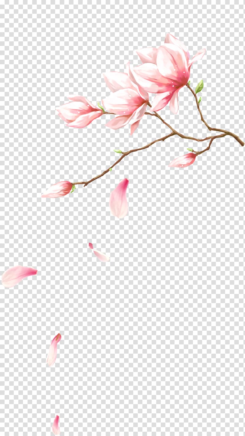 Fichier informatique pétale de fleurs roses, fleurs avec des pétales qui tombent sur, illustration de fleurs pétales rose png Fichier informatique pétale de fleurs roses, fleurs avec des pétales qui tombent sur, illustration de fleurs pétales rose png